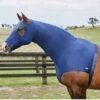 Weatherbeeta Stretch Hood With Zip - Navy 2 Weatherbeeta Stretch Hood With Zip - Navy -Equestrian Supply Store 589538rdy