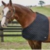 Weatherbeeta Deluxe Shoulder Guard - Black 1 Weatherbeeta Deluxe Shoulder Guard - Black -Equestrian Supply Store 589563rdy