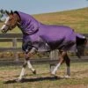 Weatherbeeta ComFiTec Plus Dynamic Detach-A-Neck Med - Purple/Black -Equestrian Supply Store 801159rdy