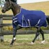 Weatherbeeta Comfitec Essential Std Lite Turnout - Nvy/Svr/Red -Equestrian Supply Store 801464rdy
