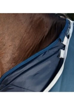 Amigo AmECO 12 Plus Turnout 100g Lite - Teal/Grey -Equestrian Supply Store amecoplusturnout2rdy