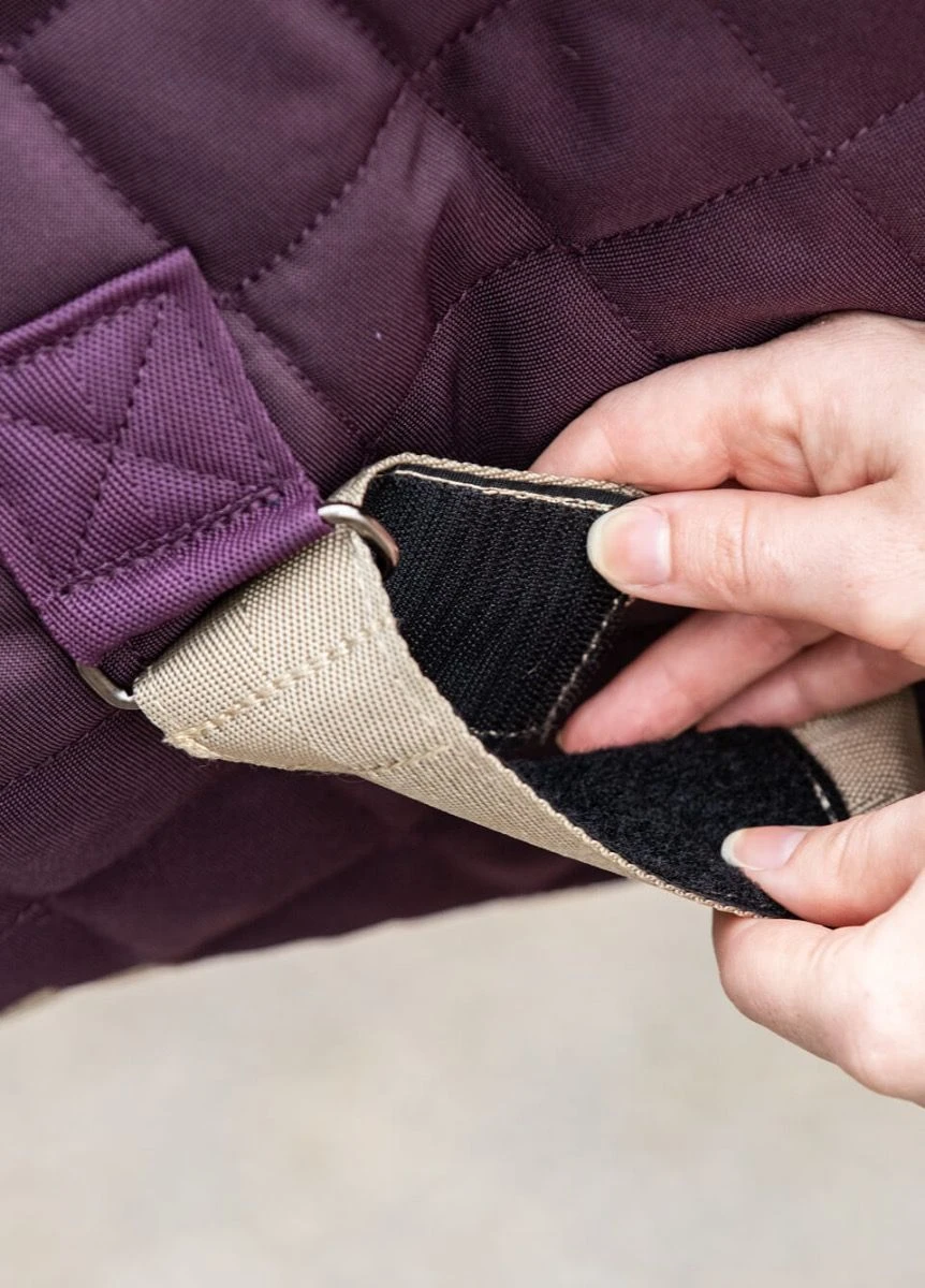 Amigo Stable Plus Medium Disc - Fig 5 Amigo Stable Plus Medium Disc - Fig - Image 3