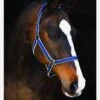 Amigo Headcollar - Navy/Silver 1 Amigo Headcollar - Navy/Silver -Equestrian Supply Store amigoheadcollar navy slv