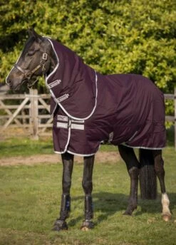 Amigo Hero Ripstop Plus Medium 200g - Fig/Silver