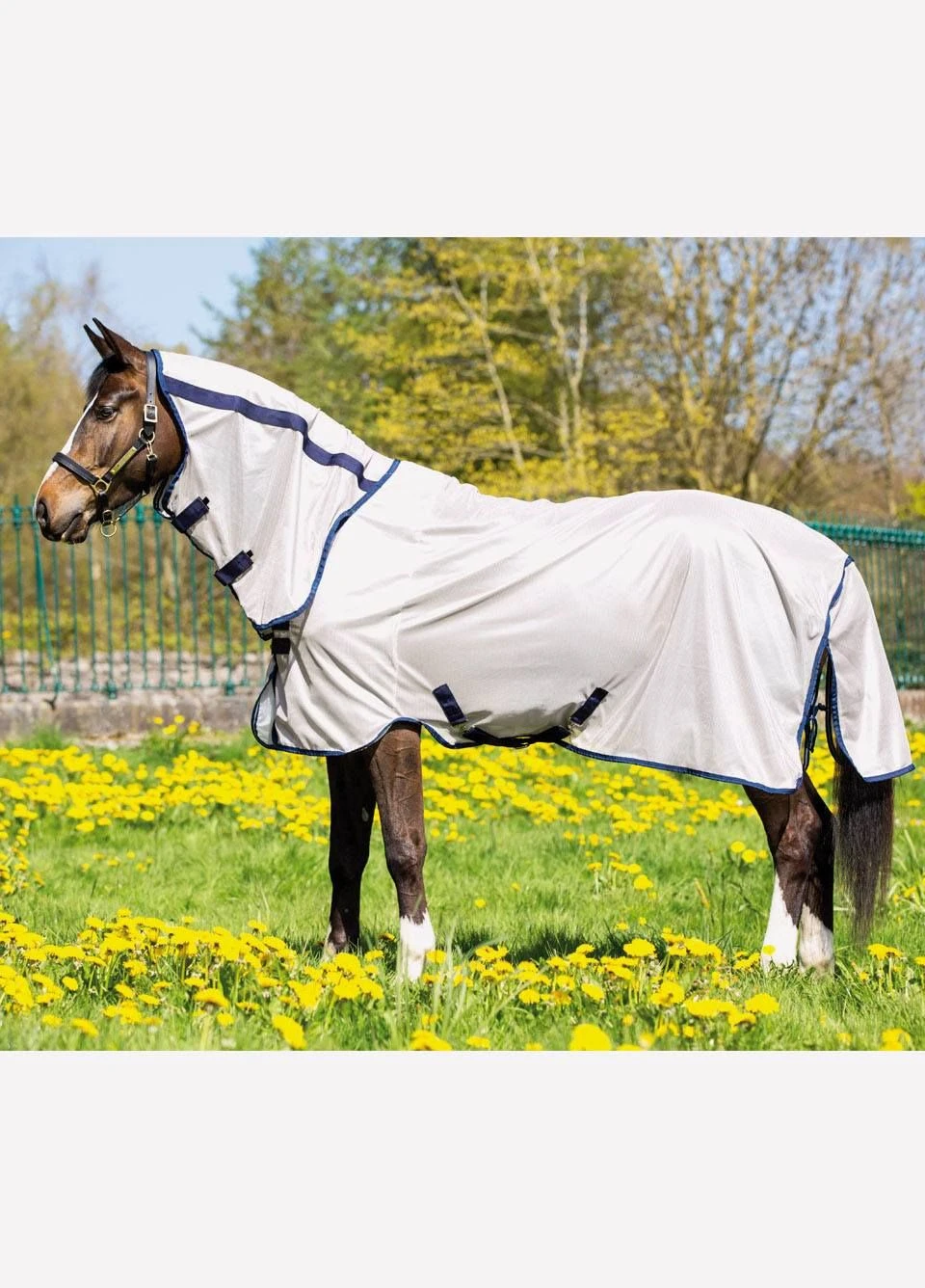 Amigo Mio Pony Fly Rug - Bronze/Navy 3 Amigo Mio Pony Fly Rug - Bronze/Navy