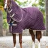 Amigo Stable Plus Medium Disc - Fig -Equestrian Supply Store amigostableplus4rdy