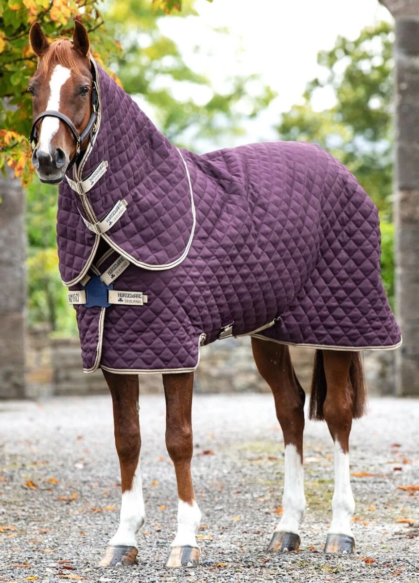 Amigo Stable Plus Medium Disc - Fig 3 Amigo Stable Plus Medium Disc - Fig