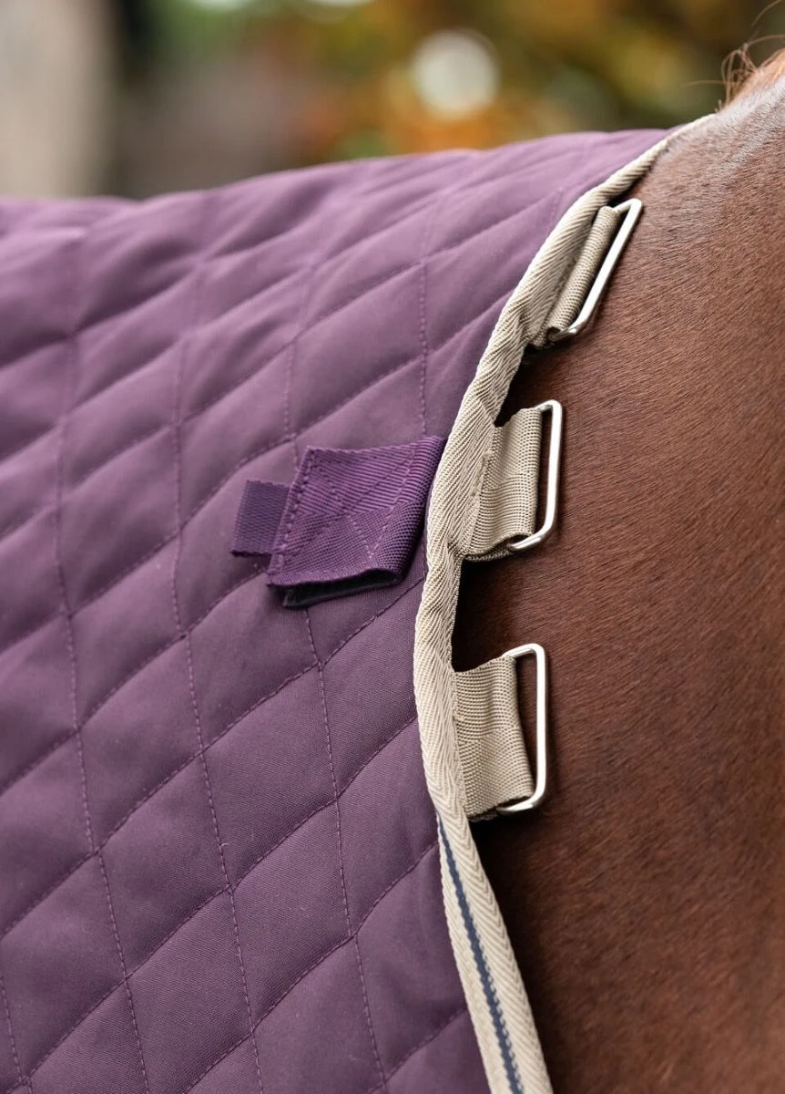 Amigo Stable Plus Medium Disc - Fig 6 Amigo Stable Plus Medium Disc - Fig - Image 4