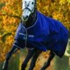 Amigo Bravo 12 Lite Turnout Rug - Navy 2 Amigo Bravo 12 Lite Turnout Rug - Navy -Equestrian Supply Store aml brvo 12 navy