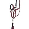 Anky Halter & Lead - Tawny Port -Equestrian Supply Store ankyheadcollarport1rdy