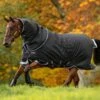 Amigo Bravo 12 Plus Medium Turnout - Black/Strong Blue & Black -Equestrian Supply Store bravoplusmedblkstrblrdy