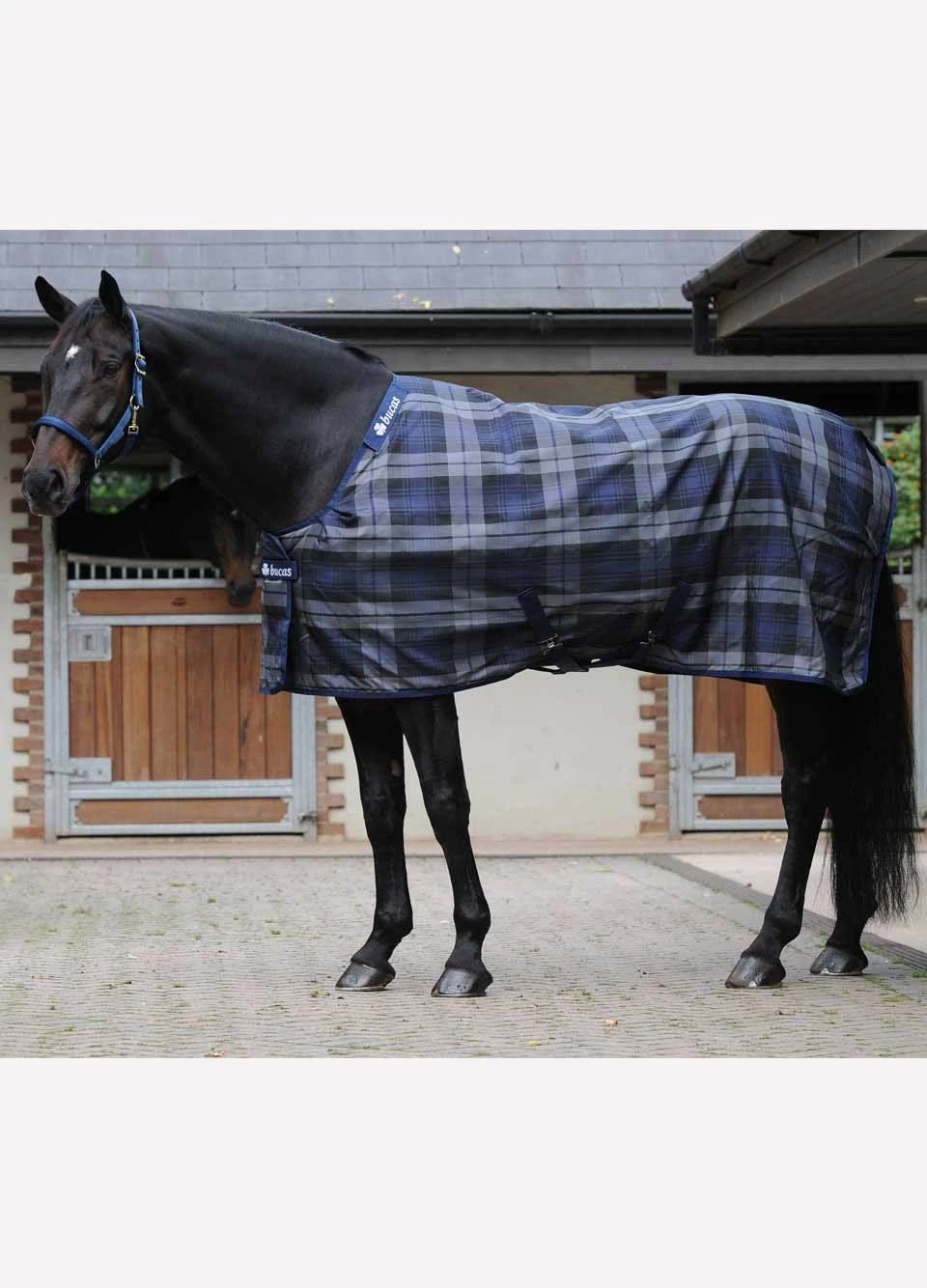 Bucas Celtic Stable Light - Grey Tartan 4 Bucas Celtic Stable Light - Grey Tartan - Image 2