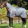 Weatherbeeta ComFiTec Plus Dynamic Combo Heavy Turnout - Grey/Burgundy -Equestrian Supply Store dynamiccombohvygreyrdy