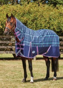 Weatherbeeta ComFiTec Plus Dynamic Medium Combo Turnout - Navy/Light Blue/Purple Plaid