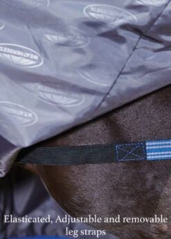 Weatherbeeta ComFiTec Plus Dynamic Combo Medium Turnout - Purple/Black -Equestrian Supply Store elasticated removable and adjustablelegstraps 2