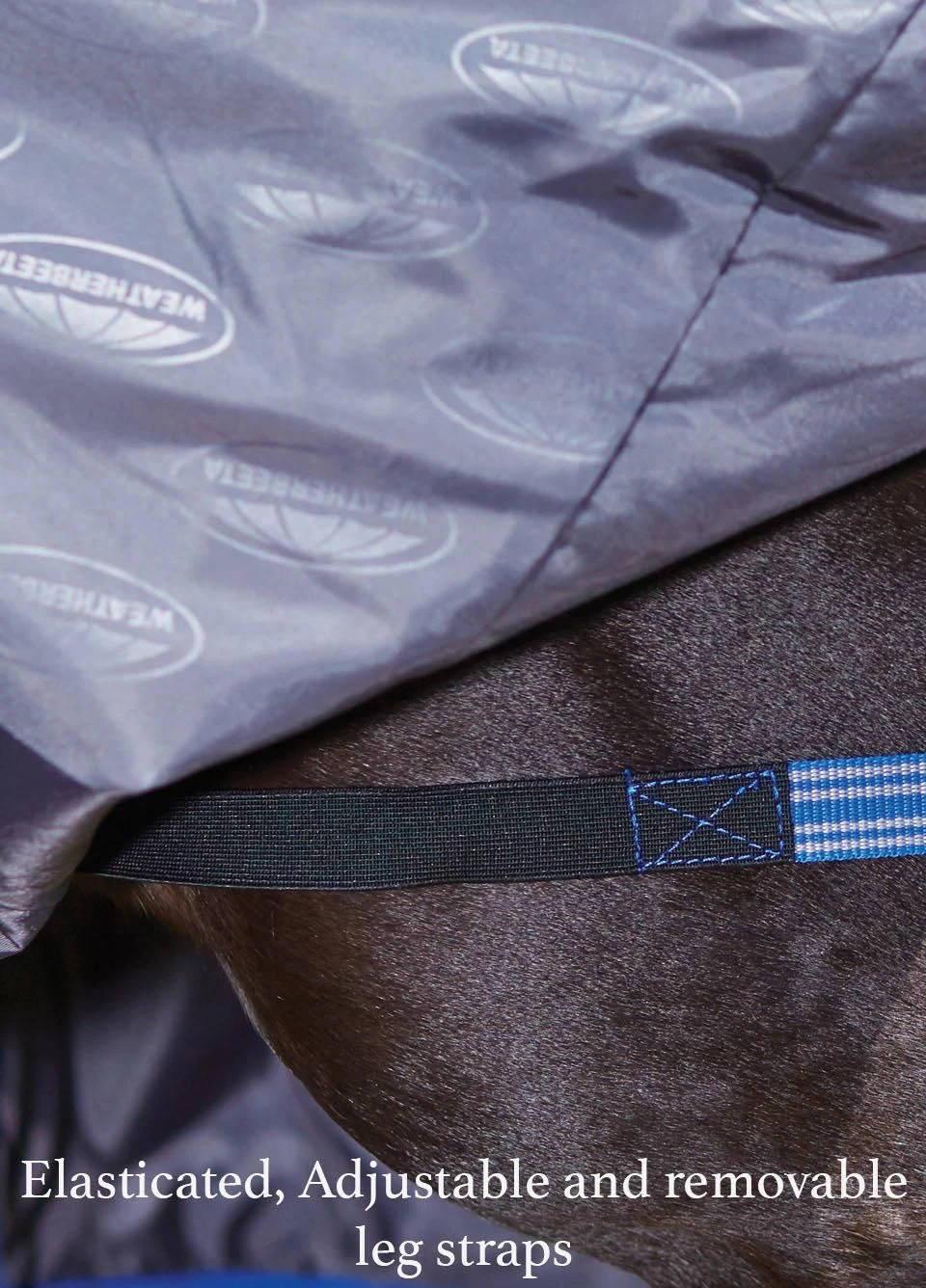 Weatherbeeta ComFiTec Plus Dynamic Combo Medium/Lite Turnout - Teal/Cer/Yell 4 Weatherbeeta ComFiTec Plus Dynamic Combo Medium/Lite Turnout - Teal/Cer/Yell - Image 2