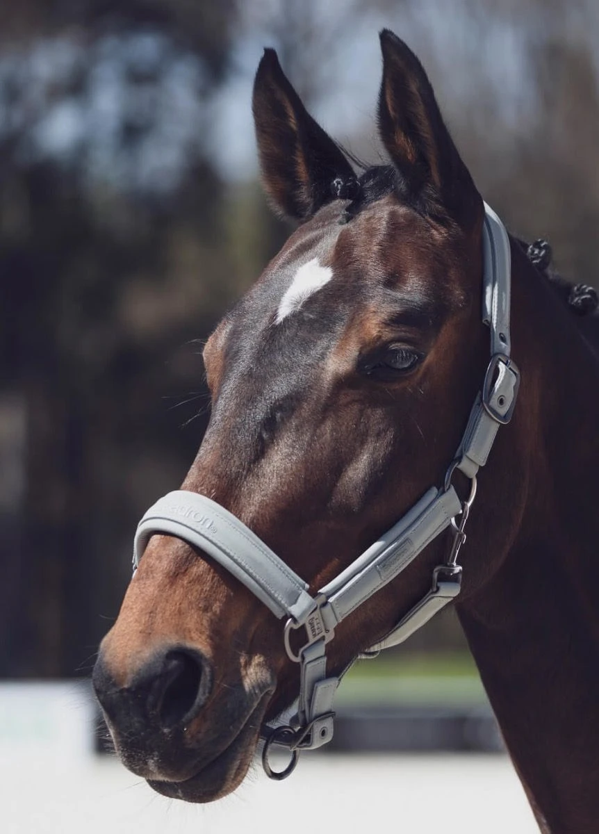 Eskadron Doublepin Softshell Headcollar - Light Olive 4 Eskadron Doublepin Softshell Headcollar - Light Olive - Image 2