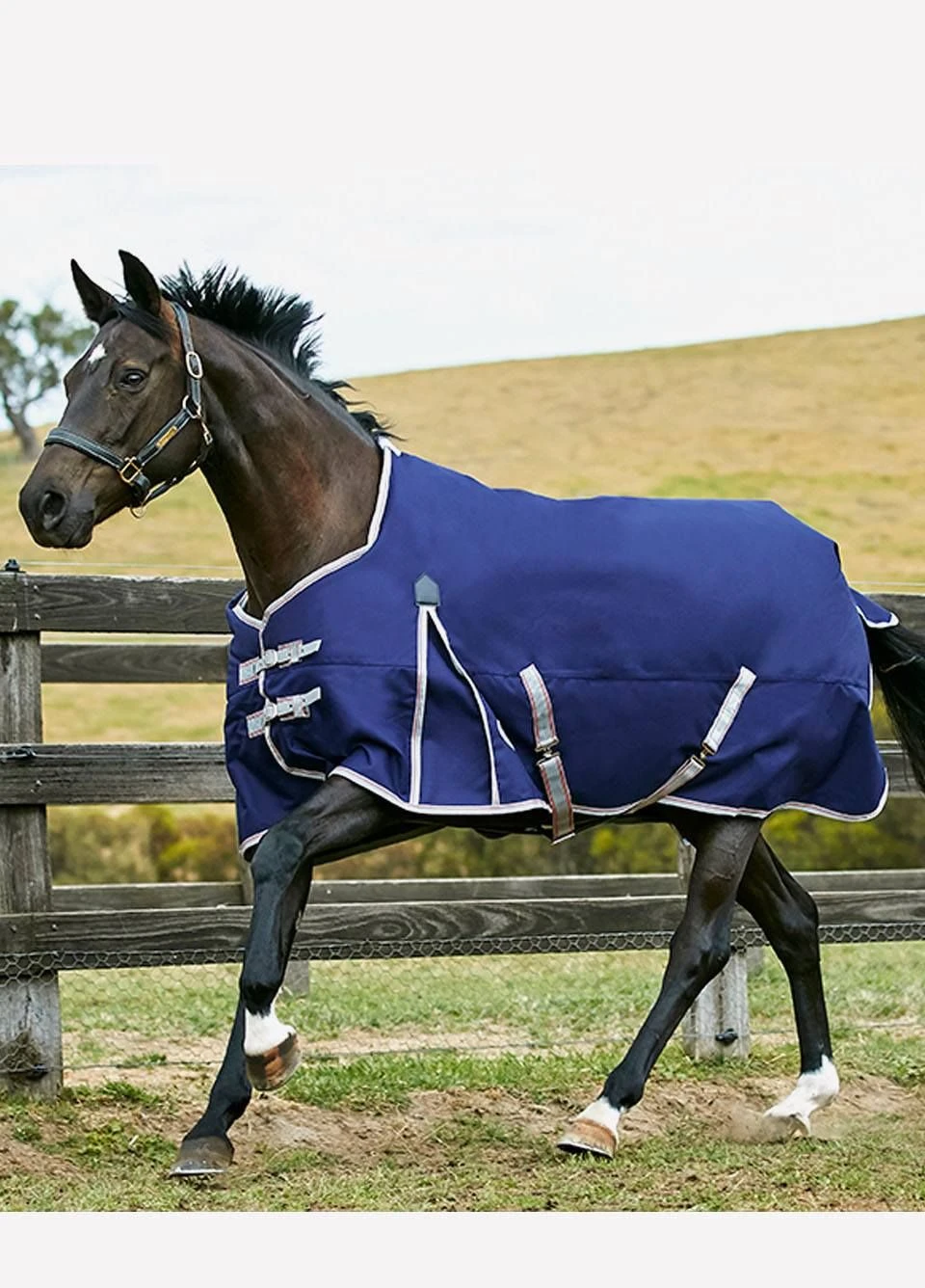 Weatherbeeta Comfitec Essential Standard Lite Plus Turnout - Navy/Silver/Red 3 Weatherbeeta Comfitec Essential Standard Lite Plus Turnout - Navy/Silver/Red