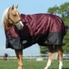 Weatherbeeta Comfitec Essential Standard Neck Medium Turnout- Burgundy Bandana Print/Black -Equestrian Supply Store essentialstdmedbandana3rdy