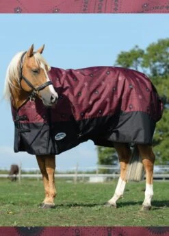 Weatherbeeta Comfitec Essential Standard Neck Medium Turnout- Burgundy Bandana Print/Black