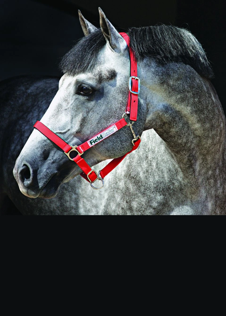 Horseware Fieldsafe Headcollar - Red 3 Horseware Fieldsafe Headcollar - Red