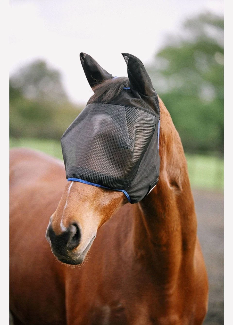 Equilibrium Field Relief Midi Fly Mask (with Ears) - Black 3 Equilibrium Field Relief Midi Fly Mask (with Ears) - Black