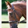 Equilibrium Net Relief Muzzle Net -Brown -Equestrian Supply Store fm 2012 02 16 11 39 53 27488