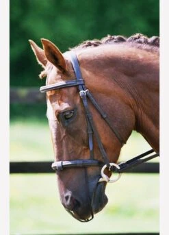 Equilibrium Net Relief Muzzle Net -Brown