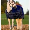 Amigo Mio Stable Rug Heavy 300g - Navy -Equestrian Supply Store fm 2012 11 15 07 11 57 30865