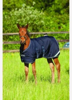 Amigo Foal Turnout/Stable Rug - Navy