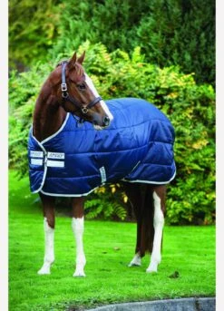 Amigo Medium Insulator Rug - Navy -Equestrian Supply Store fm 2014 07 27 02 43 48 41254