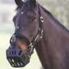 Greenguard Headcollar - Black -Equestrian Supply Store greenguardheadcollarblackrdy