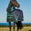 Weatherbeeta Green-Tec 900D Detach-A-Neck Heavy Turnout - Black/Bottle Green -Equestrian Supply Store greentechdanhvyrdy