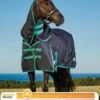 Weatherbeeta Green-Tec 900D Detach-A-Neck Lite Plus Turnout - Black/Bottle Green -Equestrian Supply Store greentechdanmedliterdy