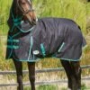 Weatherbeeta Green-Tec 900D Detach-A-Neck Medium Turnout - Black/Bottle Green -Equestrian Supply Store greentechdanmedrdy
