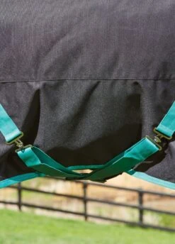 Weatherbeeta Green-Tec 900D Detach-A-Neck Lite Plus Turnout - Black/Bottle Green 14 Weatherbeeta Green-Tec 900D Detach-A-Neck Lite Plus Turnout - Black/Bottle Green -Equestrian Supply Store greentechfeatures1rdy 2