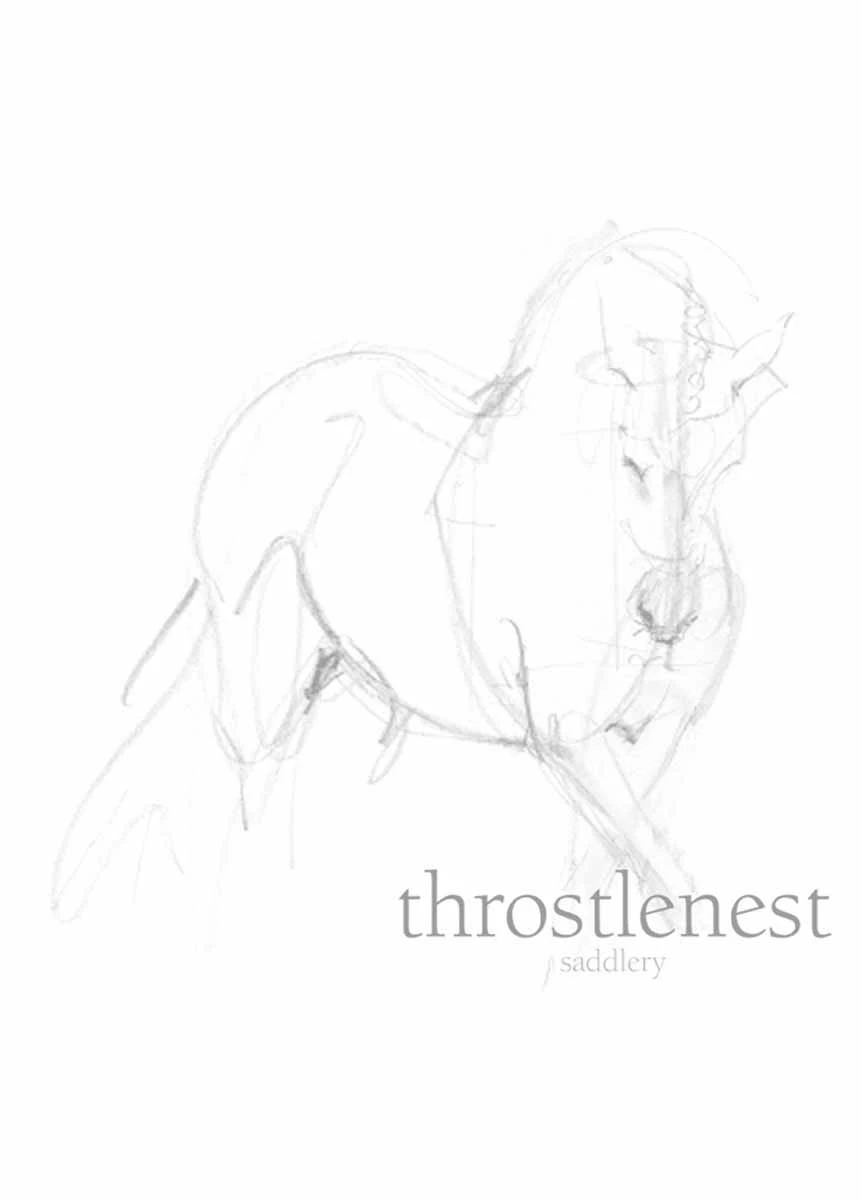 Holland Cooper Equestrian Heritage Equi Legging - Black 4 Holland Cooper Equestrian Heritage Equi Legging - Black - Image 2