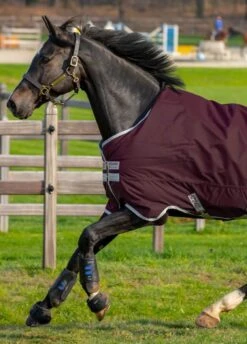 Amigo Hero Ripstop 50g - Fig 9 Amigo Hero Ripstop 50g - Fig -Equestrian Supply Store hero50fig2rdy