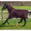 Amigo Hero Ripstop Plus Turnout Rug Lite 0g - Fig -Equestrian Supply Store heroripstoppluslite0gfigrdy