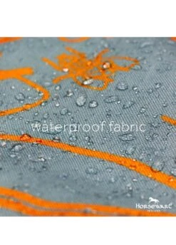 Amigo Three-In-One Evolution - Aqua/Orange -Equestrian Supply Store hwevolutionaqua3rdy