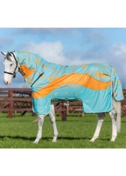 Amigo Three-In-One Evolution - Aqua/Orange