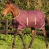 Horseware Ripstop Foal Rug - Fig/Navy/Tan -Equestrian Supply Store hwfoalrugfig1rdy