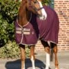 Amigo Stable Sheet - Fig -Equestrian Supply Store hwstablesheetfigrdy