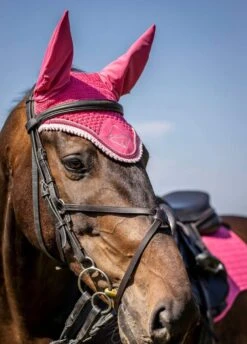 LeMieux Classic Fly Hood - Watermelon -Equestrian Supply Store lemieux fly hood watermelon 3rdy