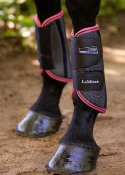 LeMieux Carbon Mesh Wrap Boots - Black/Papaya -Equestrian Supply Store lemiex carbon mesh boot papaya 4rdy