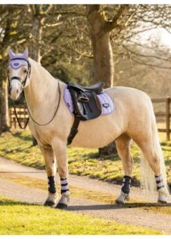 LeMieux Junior Loire Fly Hood - Wisteria -Equestrian Supply Store lm jr fly hood wisteria 2rdy