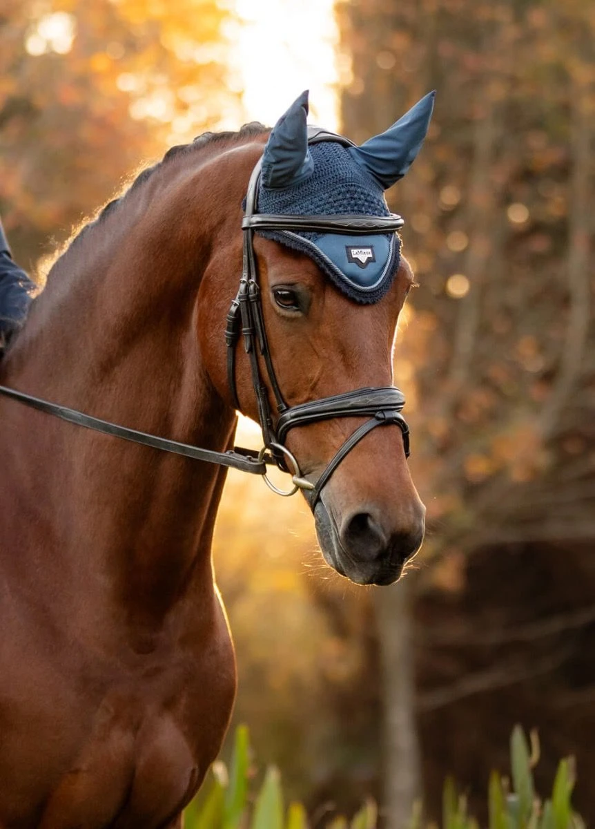 LeMieux Loire Fly Hood - Atlantic 4 LeMieux Loire Fly Hood - Atlantic - Image 2
