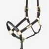 LeMieux Rope Control Headcollar - Brown 1 LeMieux Rope Control Headcollar - Brown -Equestrian Supply Store lm rope brown 1rdy