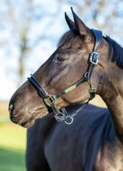 LeMieux Rope Control Headcollar - Black