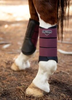LeMieux Grafter Brushing Boots - Rioja -Equestrian Supply Store lmbootrioja6rdy